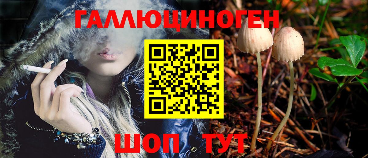 Галлюциногенные грибы MAGIC MUSHROOMS  Псилоцибиновые грибы Psilocybine cubensis  где купить наркоту  Костомукша  Вход с VPN 