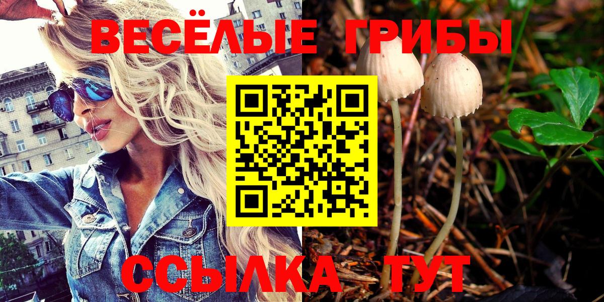 Псилоцибиновые грибы мицелий Костомукша